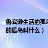 鲁滨逊生活的孤岛叫什么他认为岛上可分两季（鲁滨逊生活的孤岛叫什么）