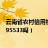 云南省农村信用社客户电话（云南省农村信用社客服电话是95533吗）