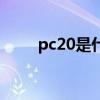 pc20是什么管子（pc20是什么管）