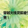 穿越火线灵狐被生化病毒感染了（穿越火线灵狐被生化幽灵黄）