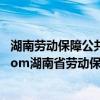 湖南劳动保障公共服务网养老金身份认证（wwwhn12333com湖南省劳动保障公共服务养老金身份认证）