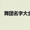 舞团名字大全100个（舞团名字大全唯美）