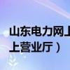 山东电力网上营业厅官网公众号（山东电力网上营业厅）