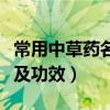 常用中草药名称及功效（常见中草药大全名称及功效）