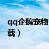 qq企鹅宠物在哪里打开（qq宠物企鹅官方下载）