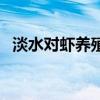 淡水对虾养殖技术方法（淡水虾养殖技术）