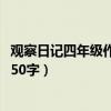 观察日记四年级作文310字左右两篇（观察日记四年级作文350字）