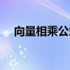 向量相乘公式坐标公式（向量相乘公式）