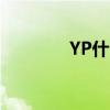 YP什么意思（yp什么意思）