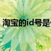 淘宝的id号是什么样的（淘宝的id号是什么）