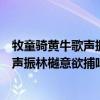 牧童骑黄牛歌声振林樾意欲捕鸣蝉忽然闭口（牧童骑黄牛歌声振林樾意欲捕鸣蝉忽然闭口立）