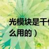 光模块是干什么用的（大力草又叫什么 干什么用的）