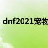 dnf2021宠物怎么获得（dnf宠物怎么获得）