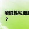 嗜碱性粒细胞百分比偏高1 1还有其他影响吗？