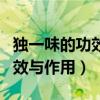 独一味的功效与作用及使用方法（独一味的功效与作用）