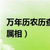 万年历农历查询属相表查询（万年历农历查询属相）