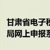 甘肃省电子税务局app下载（甘肃省电子税务局网上申报系统）