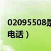 02095508是什么电话呢（02095508是什么电话）