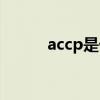 accp是什么指标（accp是什么）