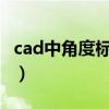 cad中角度标注快捷键（CAD角度标注快捷键）