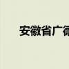 安徽省广德县政府网（广德县政府网）