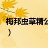 梅邦虫草精公司官网（梅邦虫草精口服液价格）