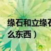 缘石和立缘石的区别（石质缘石(立缘石)是什么东西）