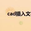 cad插入文字修改大小（cad插入文字）