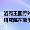 洛克王国野外研究院如何进去（洛克王国野外研究院在哪里）