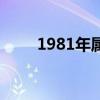 1981年属鸡的是什么命（1981年）