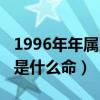 1996年年属鼠是什么命（1996年出生属鼠的是什么命）