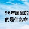 96年属鼠的是什么命五行属什么（96年属鼠的是什么命）