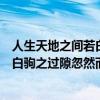 人生天地之间若白驹过隙忽然而已的道理（人生天地之间若白驹之过隙忽然而已）