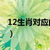 12生肖对应的数字（12生肖对应的49个数字）