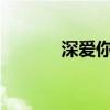 深爱你这城txt（深爱你这城）