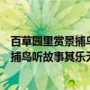 百草园里赏景捕鸟听故事其乐无穷下联是啥（百草园里赏景捕鸟听故事其乐无穷下联）