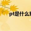 pt是什么意思word（pt是什么意思）