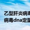 乙型肝炎病毒dna定量是什么意思（乙型肝炎病毒dna定量）