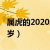 属虎的2020年多大岁数（属虎的2020年多少岁）