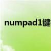 numpad1键在哪里（numpad1是哪个键）