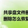 共享盘文件删除如何恢复（共享盘里的文件被删除怎么恢复）