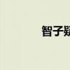 智子疑邻的意思（智子疑邻）