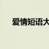 爱情短语大全5000条（爱情短语大全）