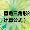 直角三角形的斜边计算公式（直角三角形斜边计算公式）