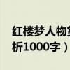 红楼梦人物赏析1000字妙玉（红楼梦人物赏析1000字）