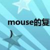 mouse的复数形式鼠标（mouse的复数形式）