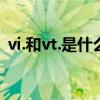 vi.和vt.是什么意思（英语vi vt是什么意思）