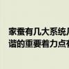 家蚕有几大系统几大生态类型（大生态战略实现社会生态和谐的重要着力点有几个）