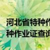 河北省特种作业证查询焊工操作证（河北省特种作业证查询）