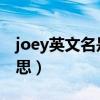 joey英文名是什么意思（hape英文是什么意思）